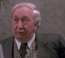 VibesMr. Van der Meer 1988 film