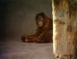 Somebodycomeandplay.jpg (277 KB) "Somebody Come and Play"