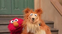 Show Topic: Dogs (Elmo and AM dog)