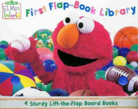 First Flap-Book Library 2000