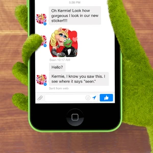Facebook stickers chat.jpg (357 KB) Kermit and Piggy chat posted by Facebook's Facebook page on March 28, 2014