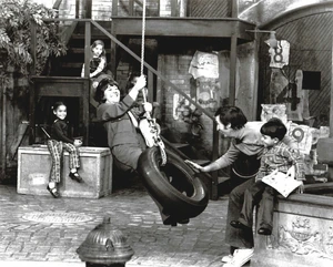 Molly goes for a ride on the tire swing.