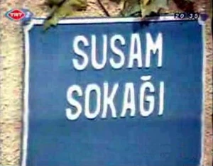 Susam sokagi title card