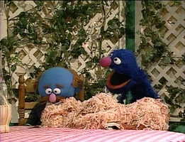 Waiter Grover serves spaghetti