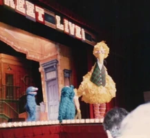 Big bird hollywood 03.jpg (122 KB)