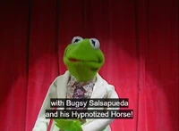 Bugsy Salsapueda name proof