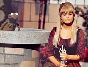 HeyCindy-WhoListensToAFrog