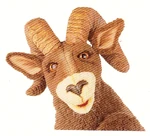 Rocky the Bighorn Sheep