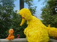 ZoeBBGot2.jpg (228 KB) "All About Two" (First: Episode 3449)