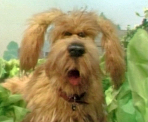 Dog Bunny Picnic Muppet Wiki Fandom