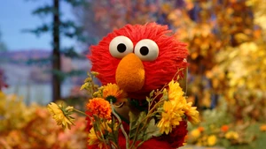 Elmo-wildflowers-sniff