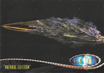 "Natural Election" 235