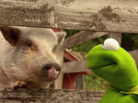 Joe (pig)Kermit's Swamp Years