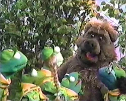 Muppet time hide seek