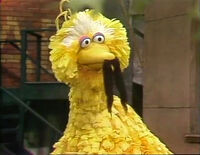 Big Bird wears a fake mustache in Episode 1398.