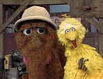 Big Bird and Snuffy Explore Sesame Street