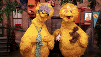 Show Topic: Grandparents (Big Bird and Granny Bird)