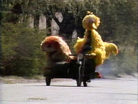 Big Bird driving a motorcycle in Big Bird in China