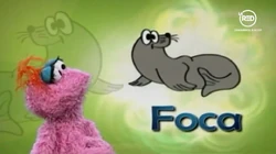 F - Foca