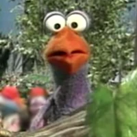 bird in Sing-Along Earth Songs