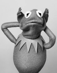 SΓΌddeutscheZeitung-Kermit-03-RejectedRoleOfYoda.png (320 KB) Kermit imitating Yoda for SΓΌddeutsche Zeitung magazine