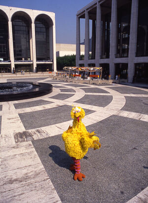 BigBird-LincolnCenter.jpg
