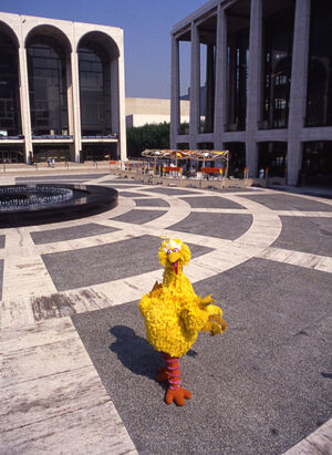 BigBird-LincolnCenter