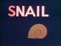 S-Snail