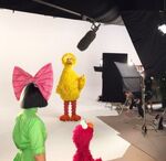 Sia on set with Elmo and Big Bird