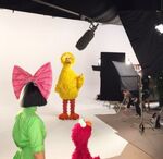 Sia-Set.jpg (45 KB) Sia on set with Elmo and Big Bird