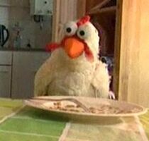 Stuntkip.jpg (10 KB) Stuntkip Sesamstraat