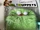 Muppet blankets (Way Kong)