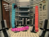 Worms in Space (First: Episode 3780)