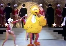 100Stars-BB1990.jpg (63 KB)