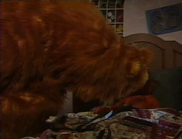 Bear & Ojo"History, Herstory, Bearstory"