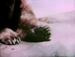 FeetSong-S1.jpg (228 KB) "Feet (Some Feet are Big)"