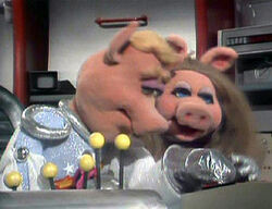 Pigsinspace205.jpg