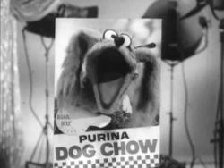 PurinaImportantMessage