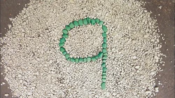 9 in the Rocks (First: Episode 4225)