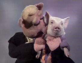 Link Hogthrob & a live pig The Muppet Show episode 215