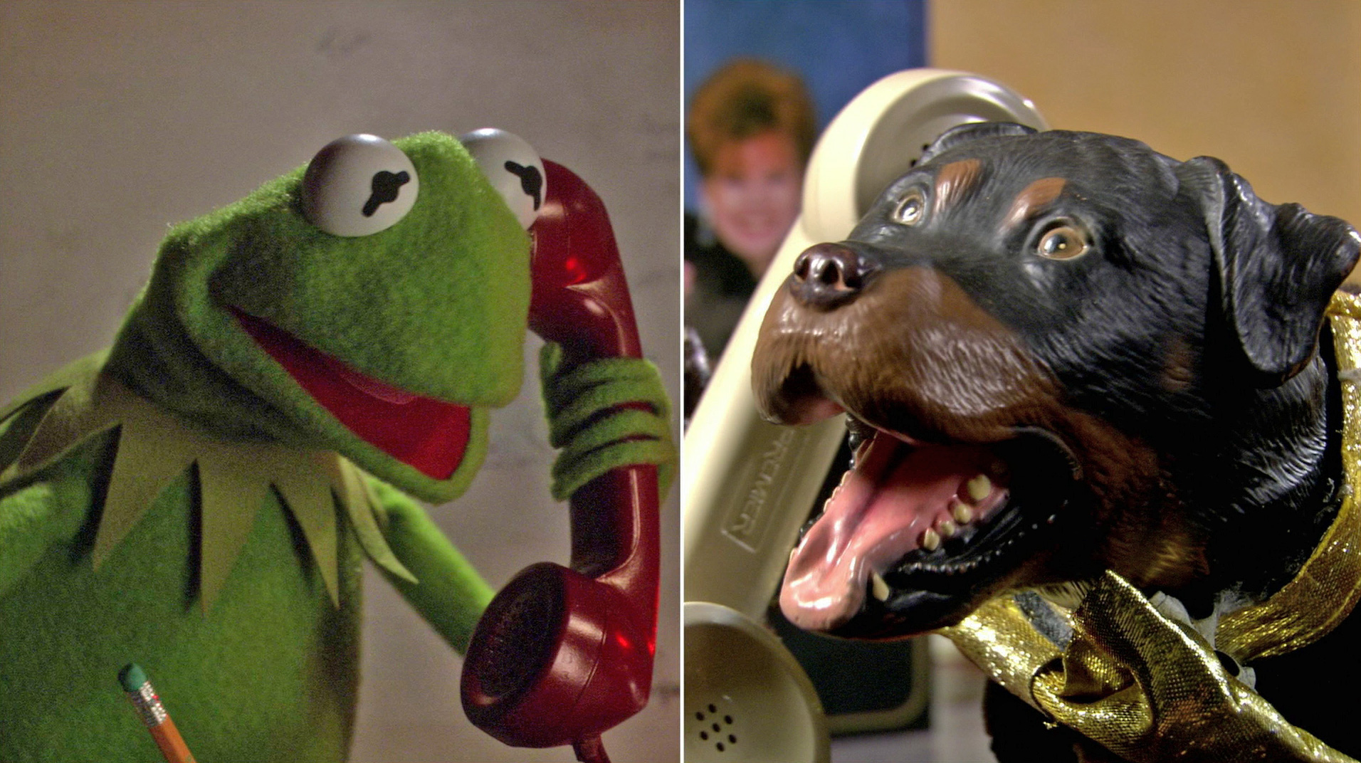 Triumph, the Insult Comic Dog Muppet Wiki Fandom