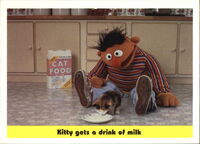 69: Kitty gets a drink of milk