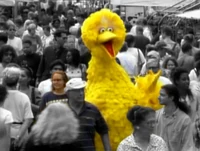 Episode 3435Pedestrian