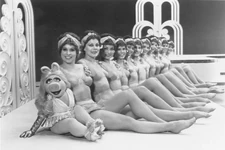 GMC-PiggyAndWaterBallet-pose.jpg (222 KB)