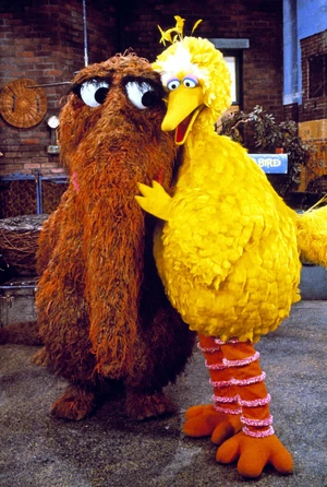 Season 17 snuffys debut