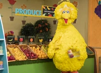 4931-BB1.jpg (348 KB)