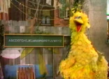 Bigbirdabcdefghi.jpg (62 KB)