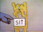 SIT: Chair