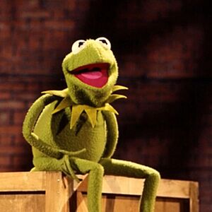 kermit the frog plush canada
