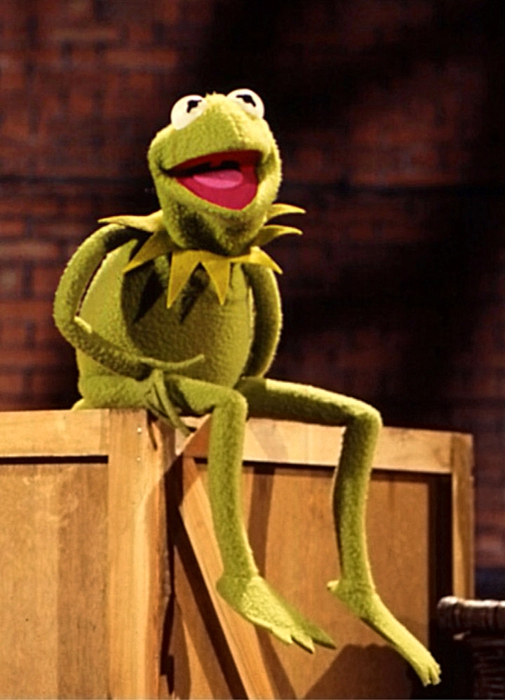 the muppets kermit the frog